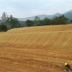 眾匯抗沖刷植生毯 荒山固土綠化與工地施工的創(chuàng)新材料選擇